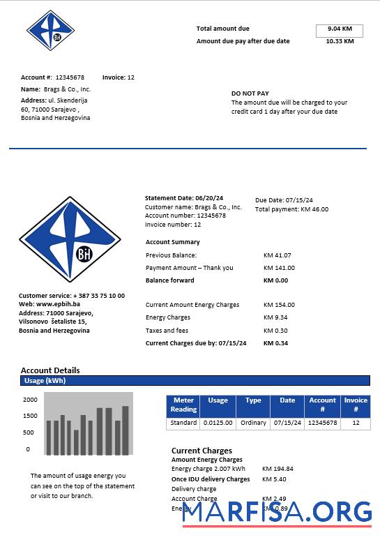 Blank Bosnia and Herzegovina Elektroprivreda BiH electricity business utility bill template in Word and PDF